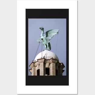 Liver Bird Posters and Art